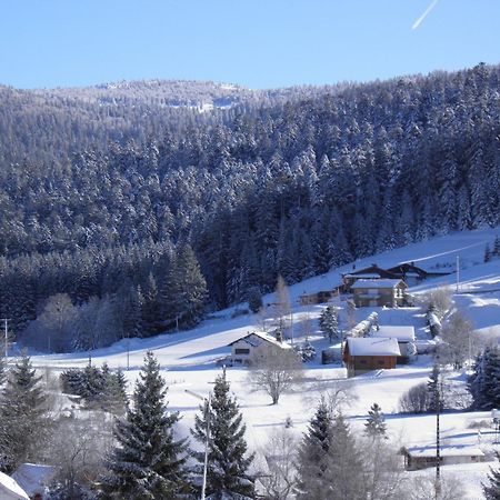 Chalet Renove Proche Du Valtin - Ideal Pour Famille, Randonnees Et Ski, Wifi, Luges Fournies - Fr-1-589-150 Ban-sur-Meurthe-Clefcy 외부 사진
