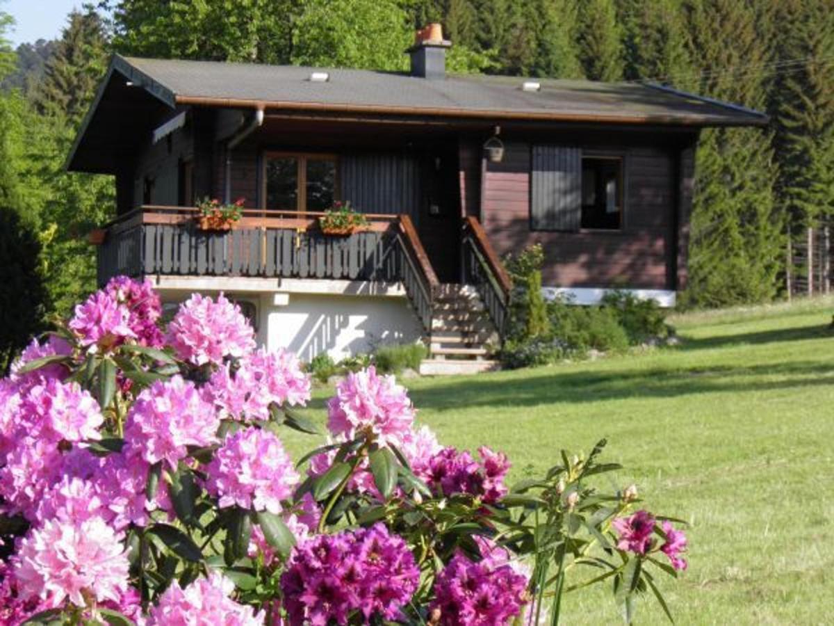 Chalet Renove Proche Du Valtin - Ideal Pour Famille, Randonnees Et Ski, Wifi, Luges Fournies - Fr-1-589-150 Ban-sur-Meurthe-Clefcy 외부 사진